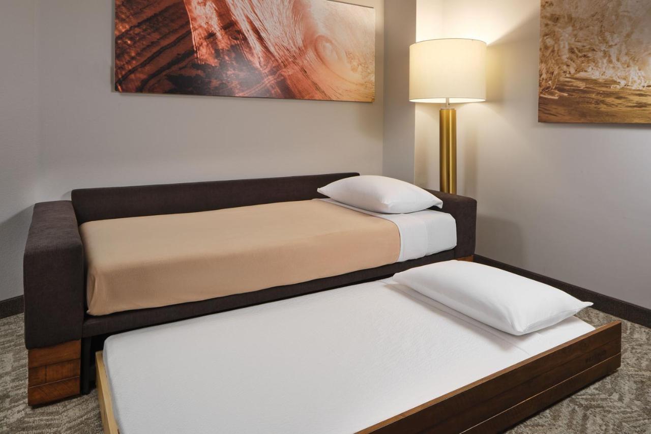 Springhill Suites By Marriott Jacksonville Baymeadows Dış mekan fotoğraf